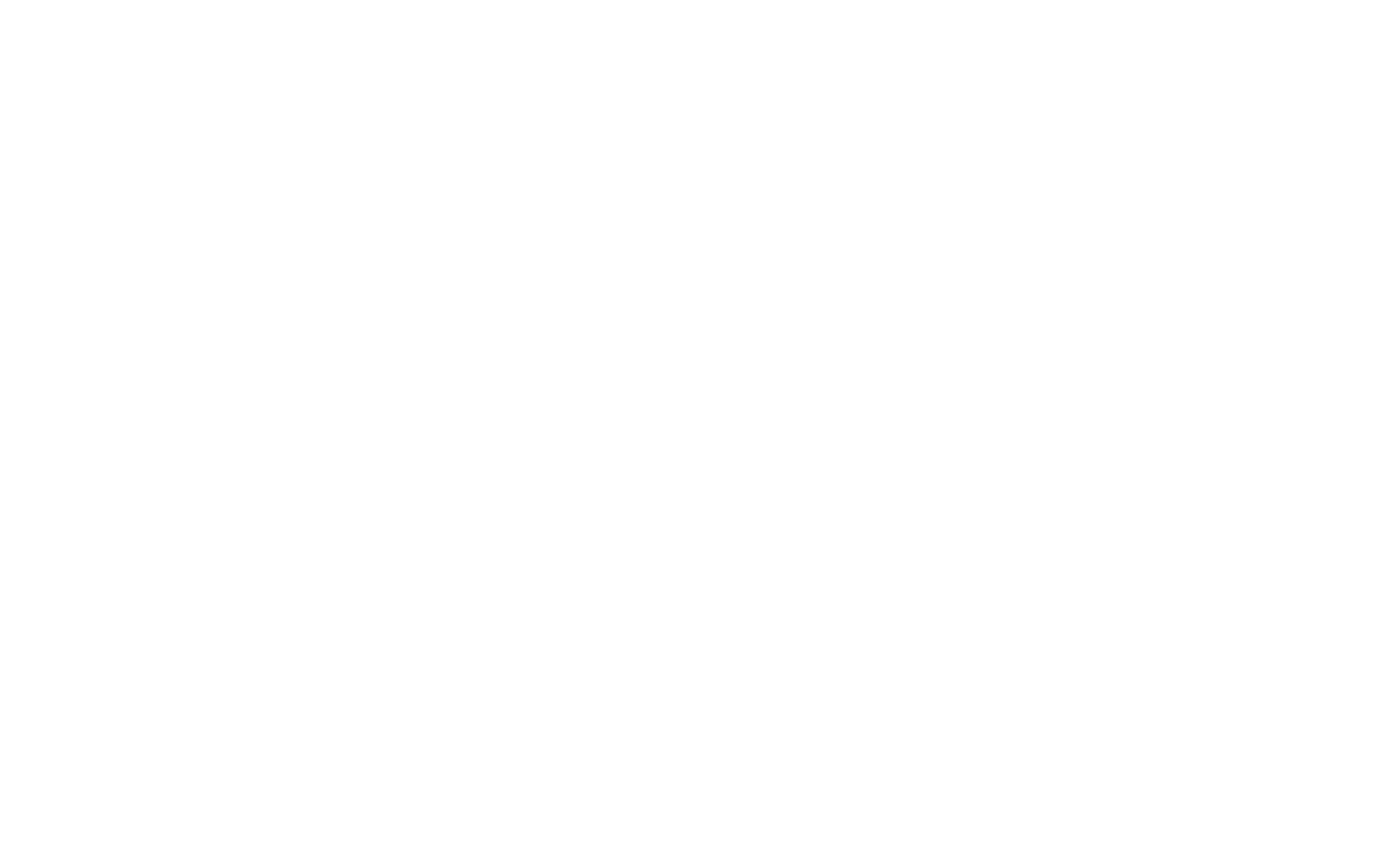 Amann Logo